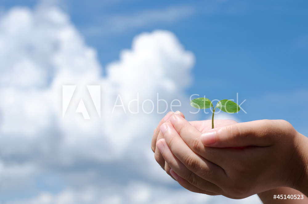 AdobeStock_45140523_Preview